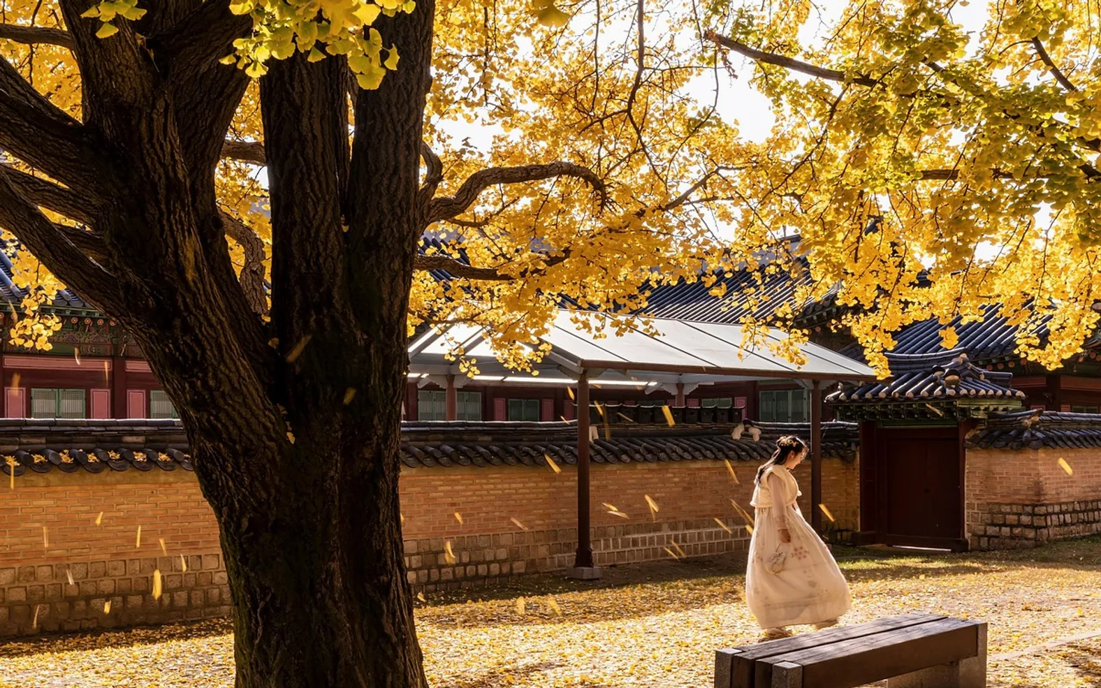 Gyeongbok palace, woman and autumn