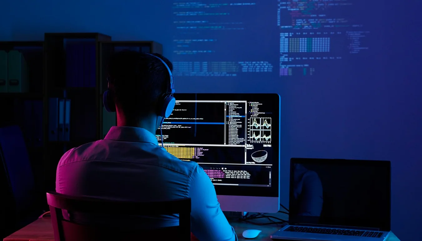 Software developer, web developer and programmer